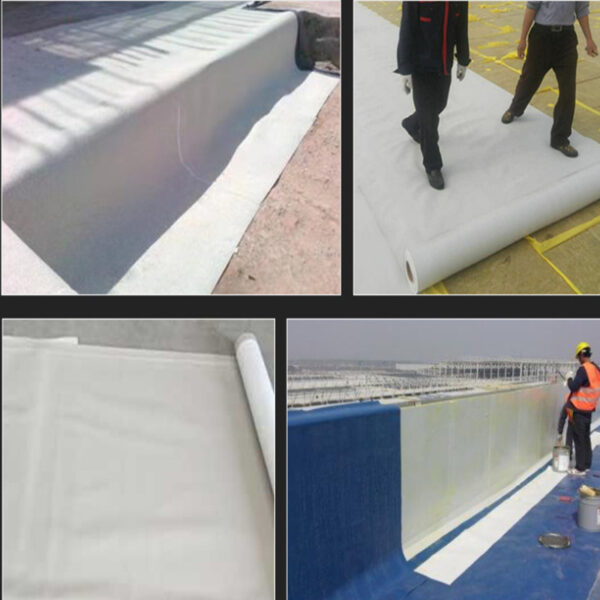 TPO waterproof membranes