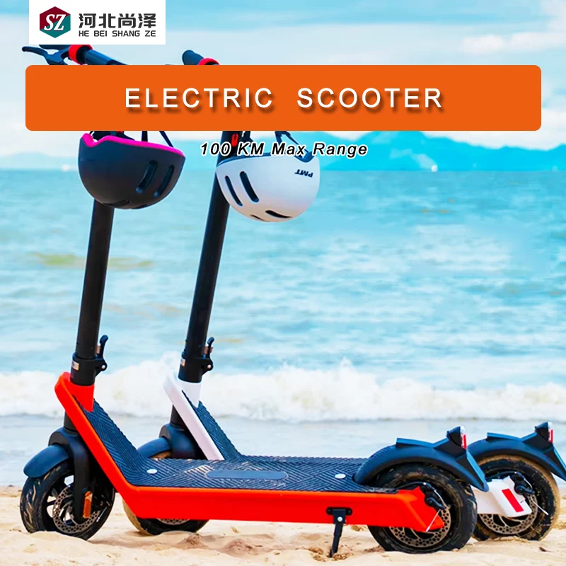 electric scooter
